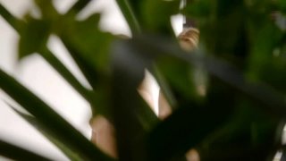 Một cái lồn lạ hơn một tạ cái lồn quen