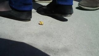 Vlxx Hay Porn Videos: XXX 2025, #7 - xHamster