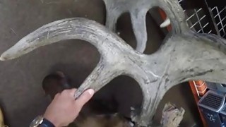 Vợ của anh trai về quê chơi bị cậu em Anh xã quan hệ đến khi mang bầu