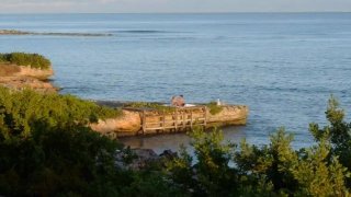 JAV Porn Pornstars: Find Your Favorite Japanese ...