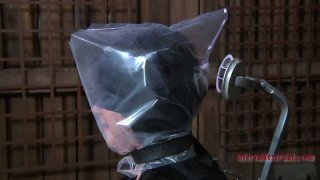 phim sex gia đình loạn luân