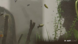 Mất điện không ngủ được vợ yêu gã chồng đè nhau ra địt