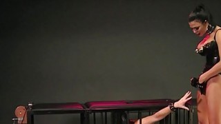 Lưỡi bố dài thế liếm lồn con sướng quá