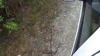 VL xx 3 1 x 1 00J0 G