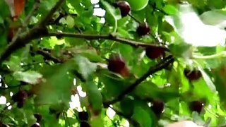 đêm trước buổi tốt nghiệp cô học trò nện với thầy chủ nhiệm