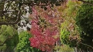 5 tiểu thuyết khiêu dâm hay nhất thế giới