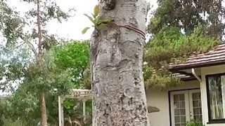 Cặc anh dài đụ em thủng tử cung Anny Walker