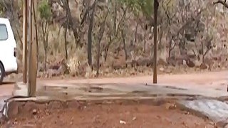 "Ký họa khỏa thân" Cọ vẽ của họa sĩ xuyên vào phần sâu nhất của cơ thể người mẫu và xuất tinh vào bên trong... - có sự tham gia của Banban / phụ đề tiếng Trung (PM-001)