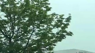 Chị Đông Bắc thật là táo bạo và dâm đãng, rên rỉ trên giường với thân hình tuyệt vời