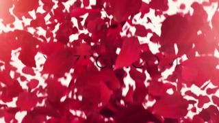 ORECO-341,ORECO-341 [HD/720p] 230 まいさん( Arisu Mai)