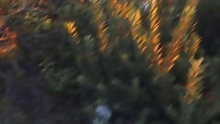 Em nhân viên mới đến bị cả công ty địt banh lồn