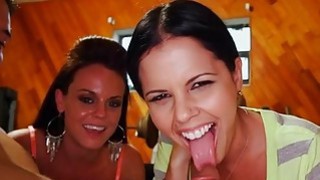 Em là con đĩ hư hỏng của anh