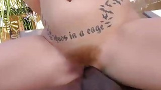 Trêu chọc gấu tây không được, thanh niên biến thái bắt cóc về nhà