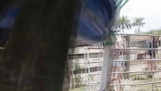 phim sẽ gầy anime