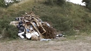 Ngày 13 tháng 7 năm 2023_Bào ngư nhỏ mọng nước