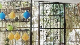 Sản phẩm tốt trong thời gian dài, xem sản phẩm nội địa tốt trực tuyến, không bị trễ trong thời gian dài, sản phẩm tốt trong thời gian dài, sản phẩm nội địa...