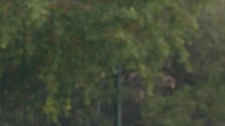 Mu em đồng nghiệp múp rụp bú mãi không chán