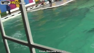 [Skinny Man] Một lĩnh vực ngoại vi đã mất từ lâu, một vòng tròn lớn của nữ thần hậu 00, một cô gái xinh đẹp dịu dàng và ngọt ngào đến hẹn hò vào đêm khuya, một anh chàng gầy gò với một cái của quý lớn, đã quan hệ với người đẹp...