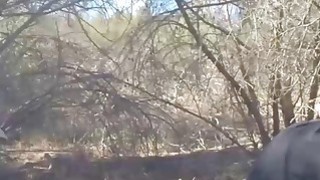 Lộ diện trên phố để quyến rũ người qua đường và huấn luyện em chó cái (tiếp theo)! Thật thú vị!