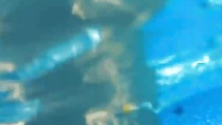 đang tập trung làm việc thì sếp bảo chổng mông