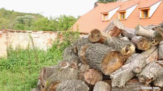 Em thư ký tuổi teen tỏ tình với anh cấp trên tốt bụng trong chuyến công tác