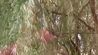 đang thẩm du với đồ lót của má kế trẻ thì bị phát hiện