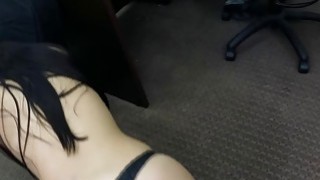 Cặp đôi mèo con bướm hồng tóc dài cho thấy cảnh quan hệ bằng miệng, tư thế chó và rất vui vẻ