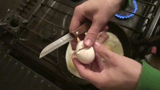 "Mẹ kiếp, con mèo của tôi đau quá, đi chậm lại đi"