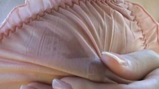 Anh chàng mắc bệnh lúc nào cũng cứng gặp nữ bác sĩ tâm lý