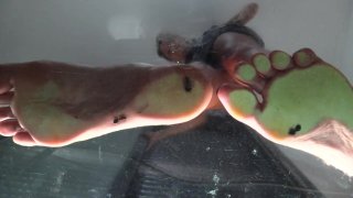 Nbồ thuật nóng bỏng đàn ông của eimi fukuda