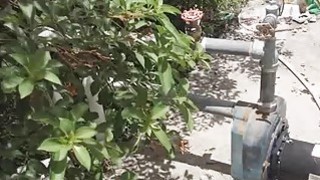 sẽ gầy cực mạnh