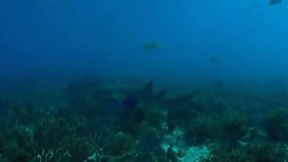 Ccục thịt trai bất ngờ trước ghệ dẫn thêm người khác về làm tình