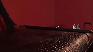 Quá nhiều sữa! Nó không bao giờ có thể cạn kiệt!