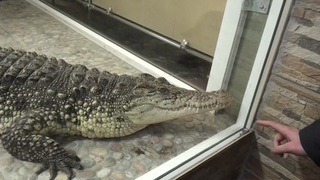 Người đẹp tóc vàng thủ dâm và xuất tinh sau khi bị xuất tinh vào âm đạo