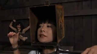 Tôi đang đi tiểu trong nhà vệ sinh phòng tập thể dục và nghe thấy tiếng động lạ phát ra từ nhà vệ sinh bên cạnh. Tôi vô tình chụp lén được bức ảnh của huấn luyện viên và nữ sinh ở đó. Giống như một bộ phim khiêu dâm trực tiếp vậy.