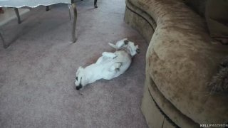 Chịch chị họ dam dang trong mùa hè nóng nực buồn chán ở quê