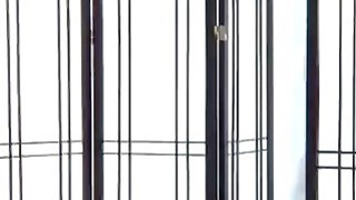 VLXX, Xem Phim Sex VLXX HD Mới Nhất