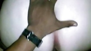 Chắm sóc cô gấu họ mới lên thành phố