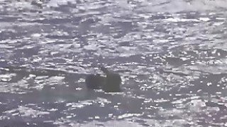 Mới sáng sớm vợ dâm bắt chồng "trả bài" trước khi đi làm